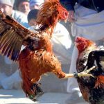 8dc40d23-24dc-4558-9066-b7f8a4042b61